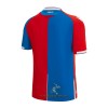 Officiële Voetbalshirt Crystal Palace Thuis 2023-24 - Heren